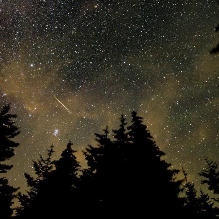 Look way up tonight: Annual Perseid meteor shower reaching its peak